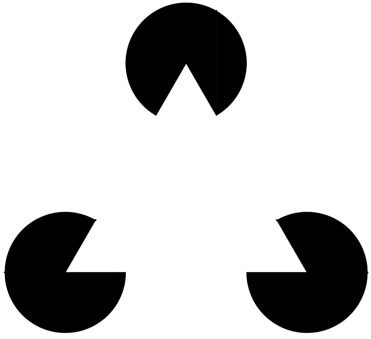 大脑如何制造并不存在的画面