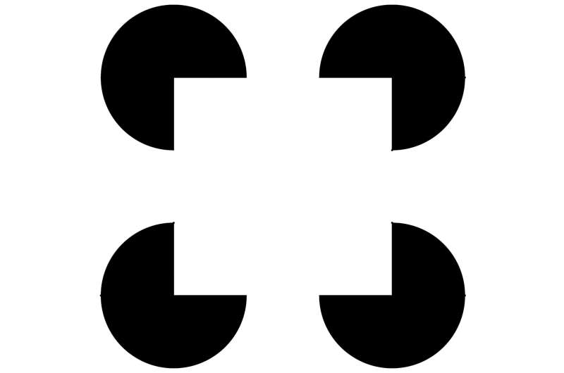 大脑如何制造并不存在的画面