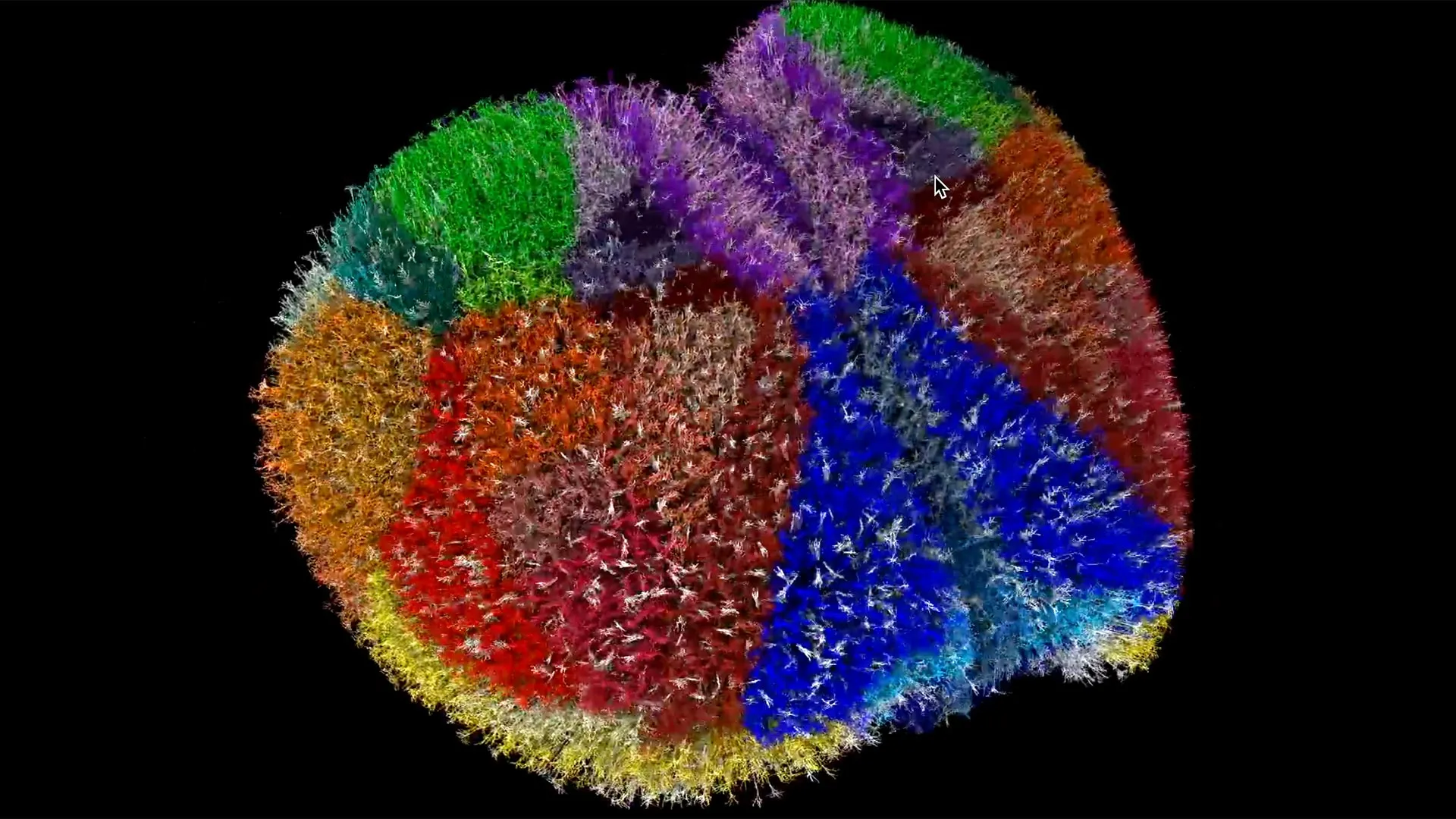 超级计算机造出最逼真的“小鼠大脑”