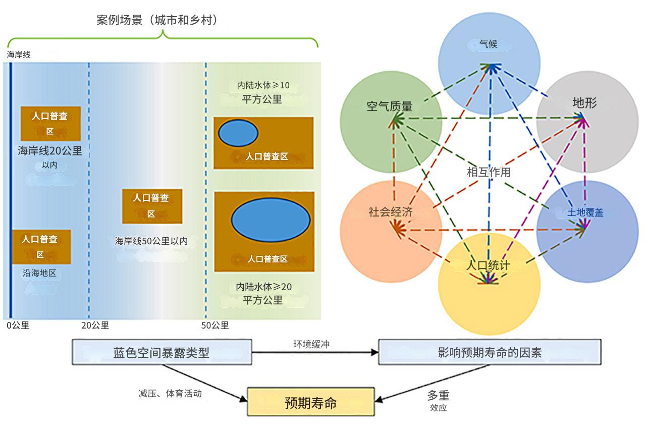 为什么住在海边的人更长寿