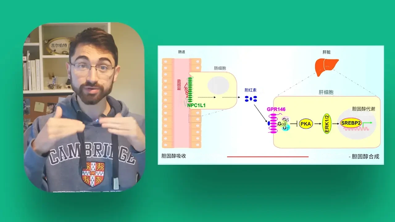 哈佛医学生一个月吃下720颗鸡蛋，胆固醇竟然下降了