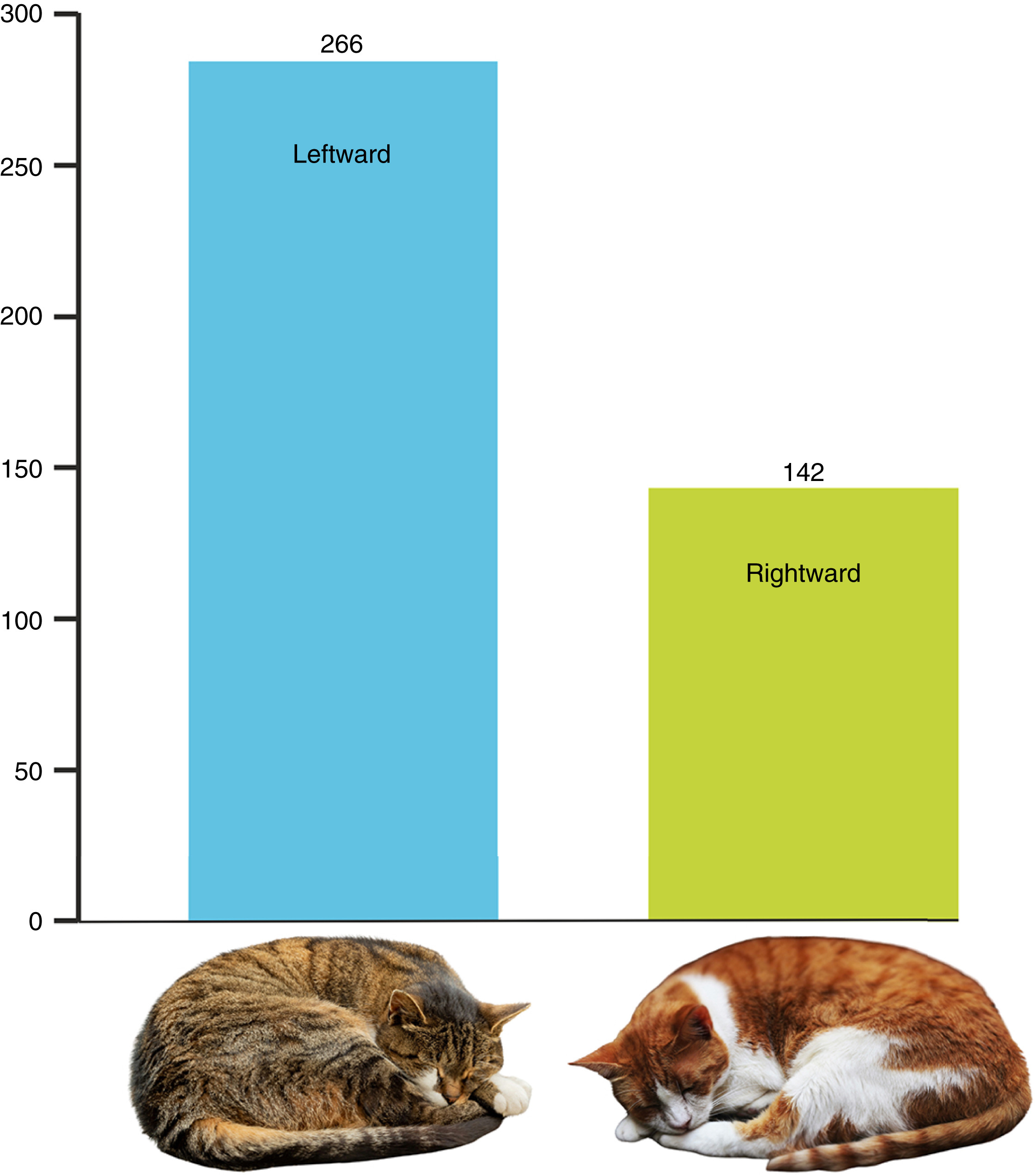 猫猫为什么爱朝左睡？是进化的安排