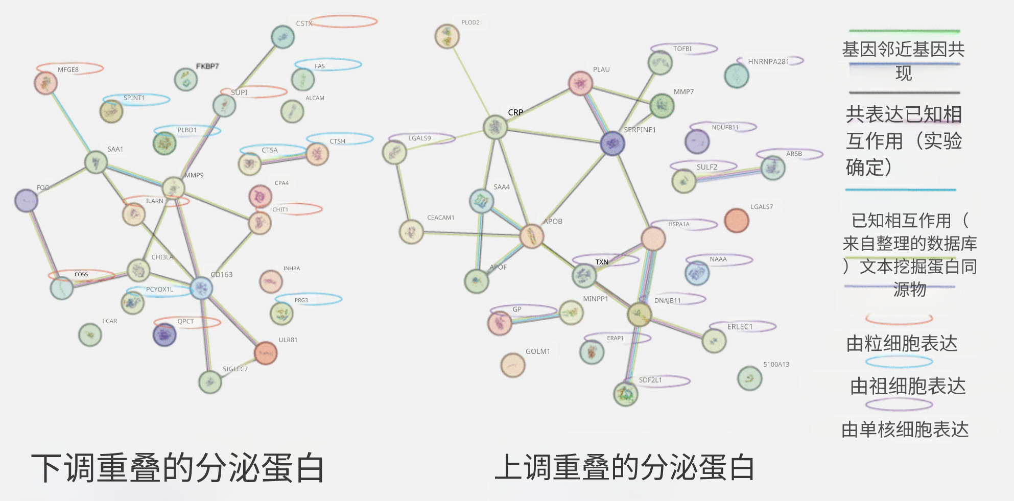 年轻血液如何逆转人类皮肤细胞的衰老