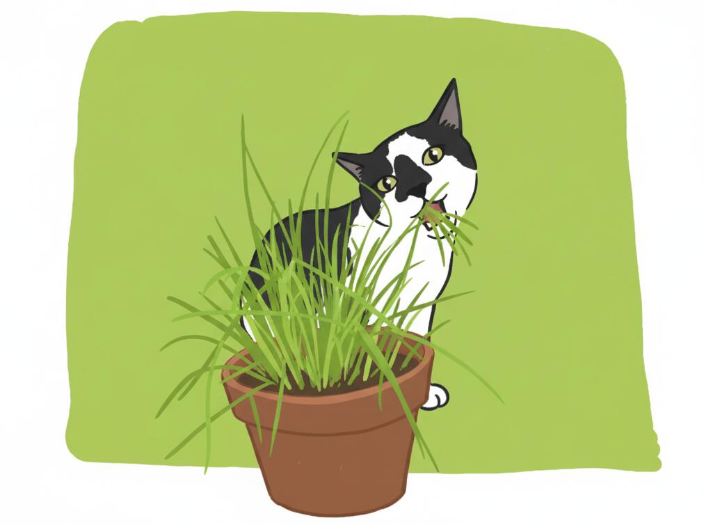 为什么猫猫吃草能排毛球