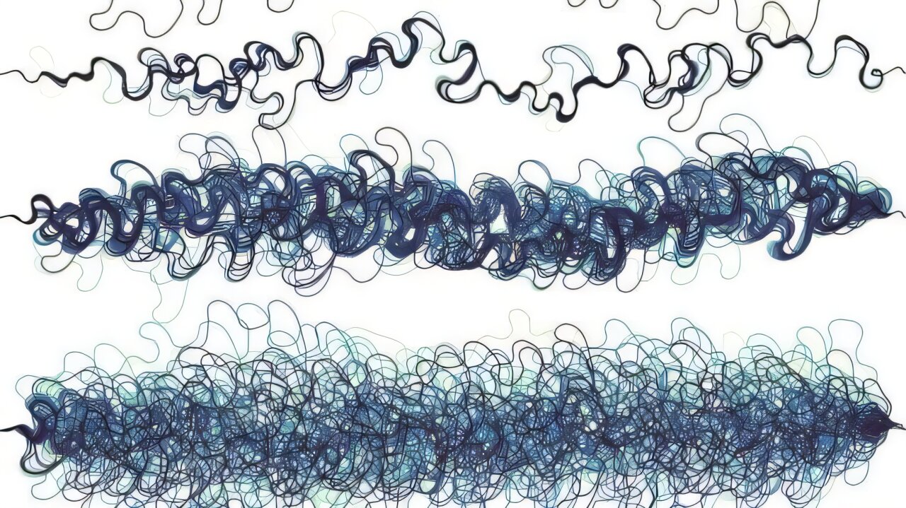 河道演变过程不可预测，数学模型揭示其混沌真相
