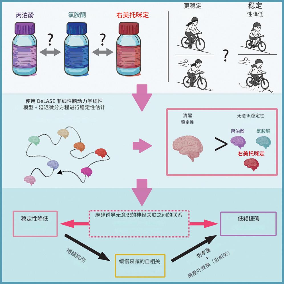 为什么不同成分的麻醉都能让你瞬间“断片”