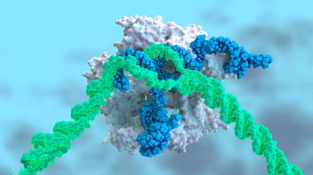 超越CRISPR:新一代基因编辑工具箱崛起