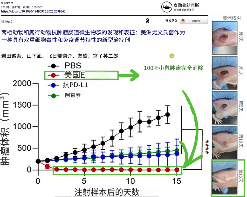 单次注射消灭100%肿瘤：这种青蛙肠道细菌可能改写癌症治疗规则