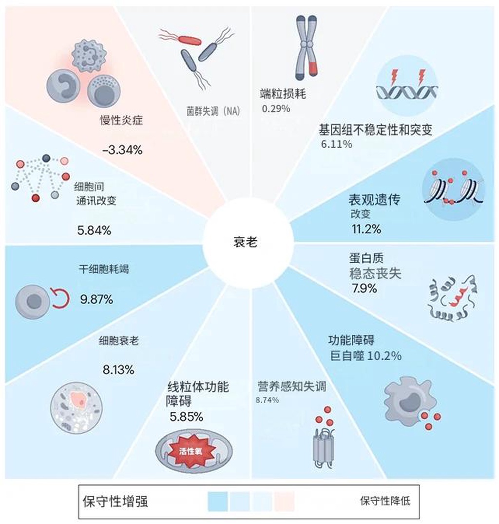 为什么人老了一身病：自然选择不在乎你的晚年
