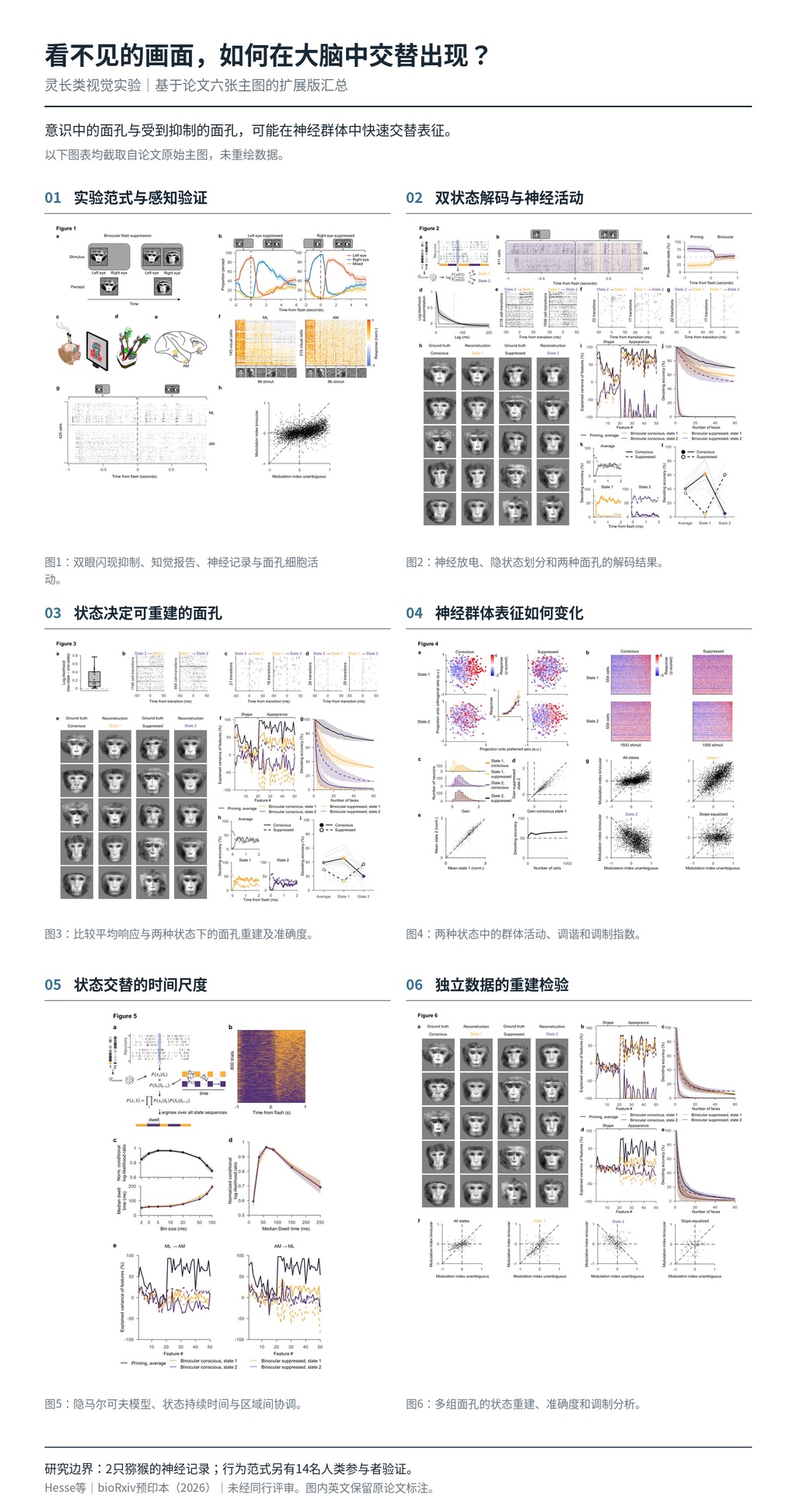 看不见的画面，如何在大脑中交替出现?