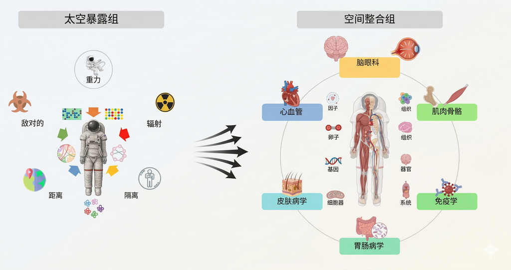 月球生活指南：人类如何在月球极端环境下生存