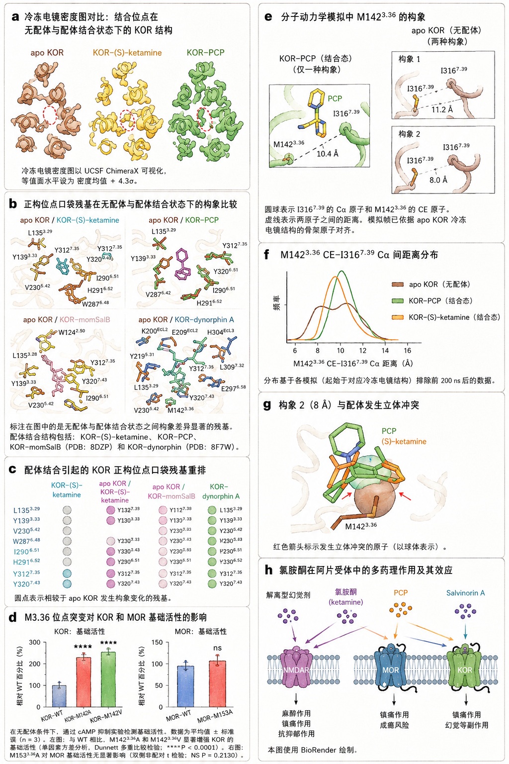 60年后科学家终于认定：氯胺酮也是阿片类药物
