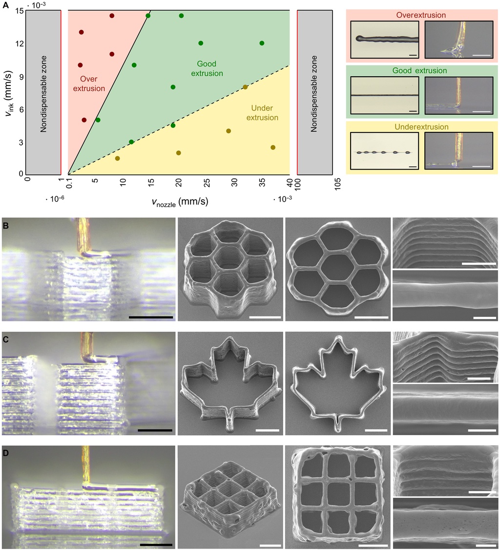科学家用蚊子嘴做3d打印喷头