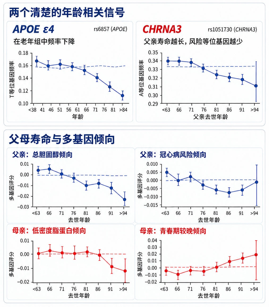 人类进化正在悄悄淘汰阿尔茨海默病基因