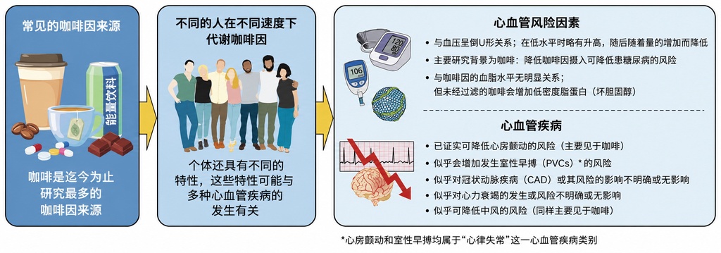 美国心脏协会给出结论：每天3到5杯咖啡是安全的