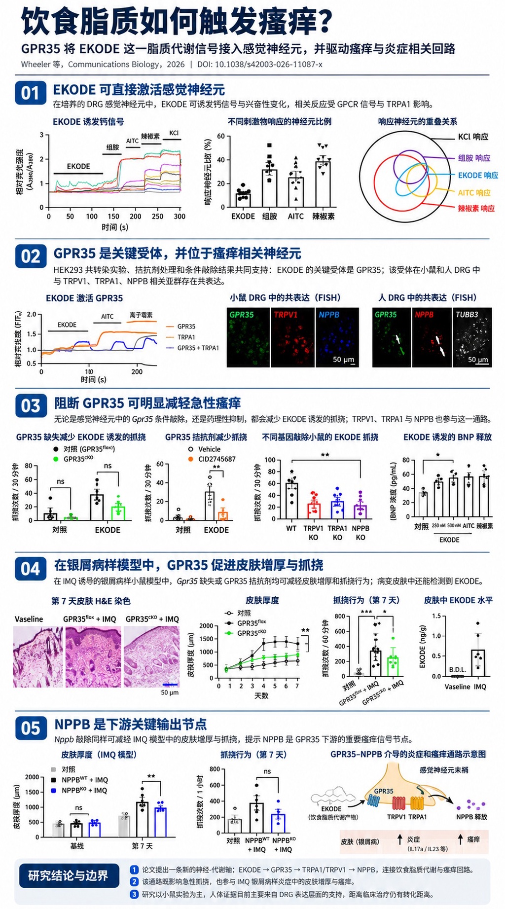 饮食中的脂肪可能是慢性瘙痒的幕后推手