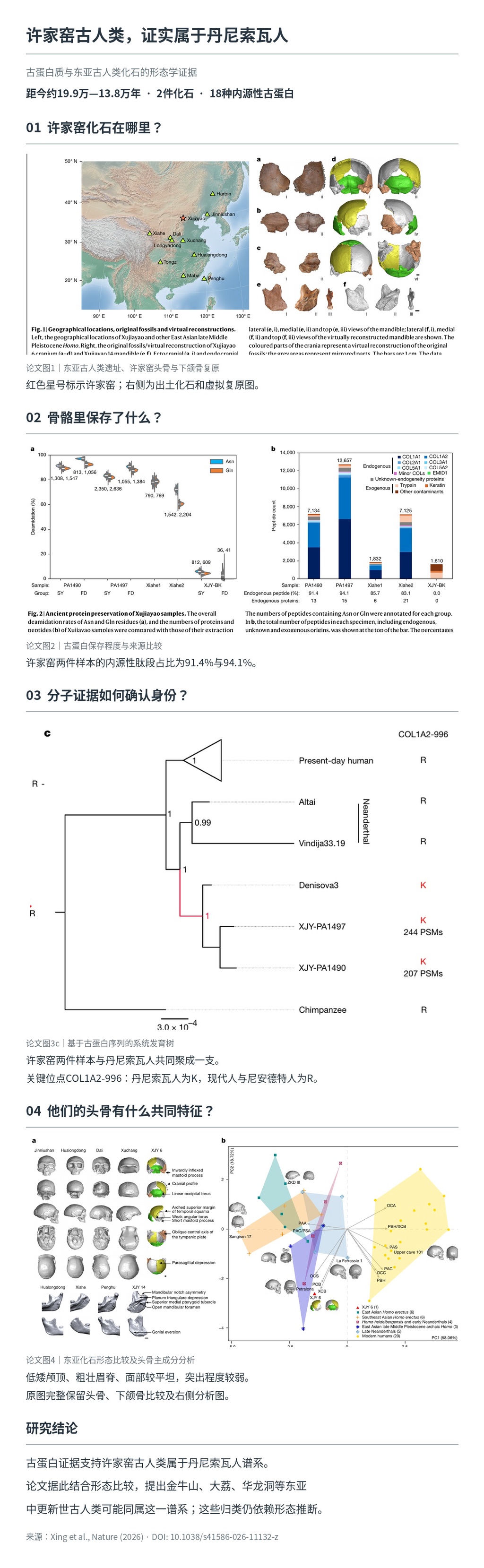 科学家首次还原神秘丹尼索瓦人的真实面容