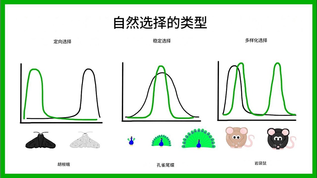为什么人老了一身病：自然选择不在乎你的晚年