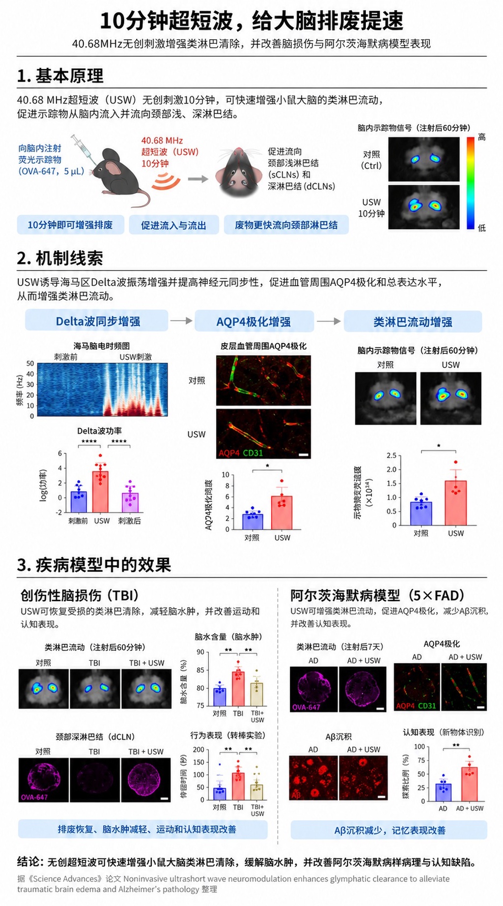只需10分钟超短波就能加速大脑废物清除:新技术有望治疗阿尔茨海默病