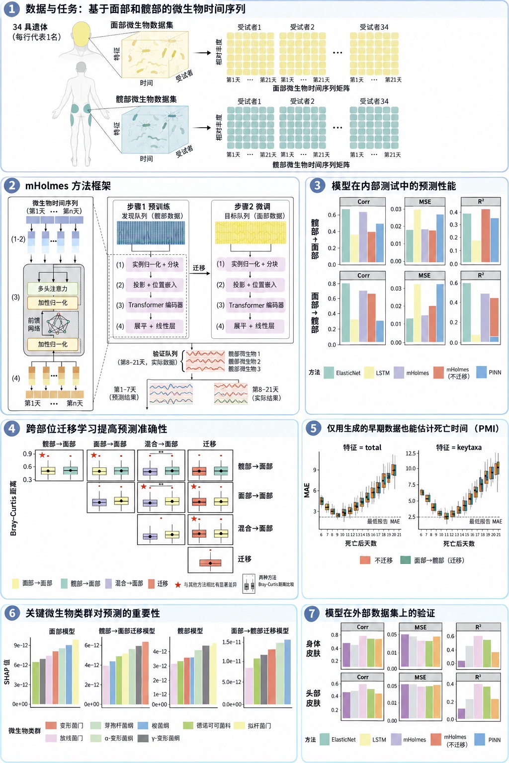 法医新助手:新的AI系统可以推算死亡时间