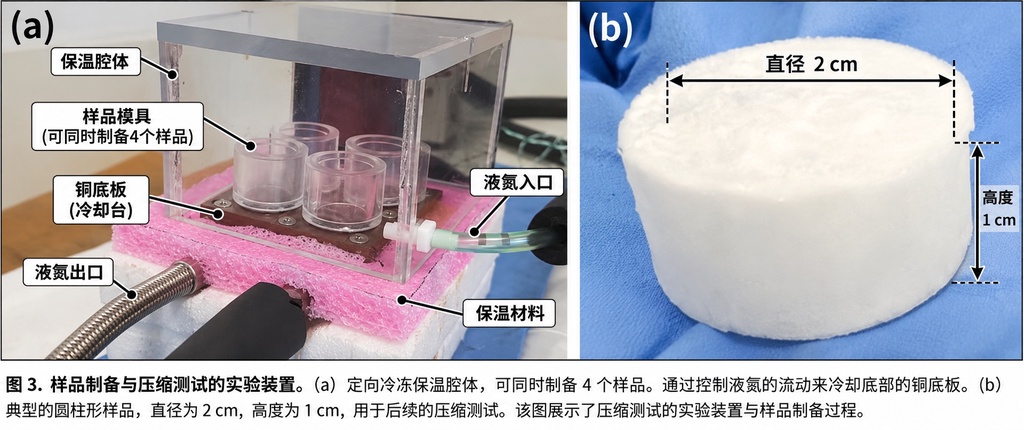 科学家用植物和蛋白打造超级冰,强度接近混凝土