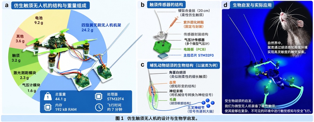 模仿夜行动物胡须来触觉导航：微型无人机可在黑暗中摸索飞行