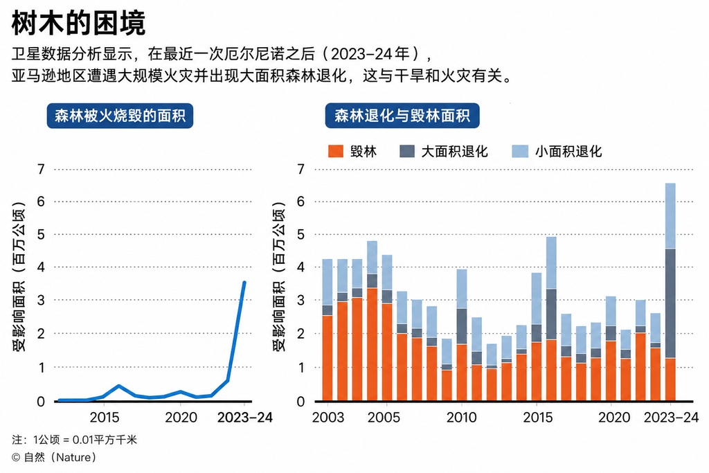 17%森林已经消失:超级厄尔尼诺逼近亚马逊