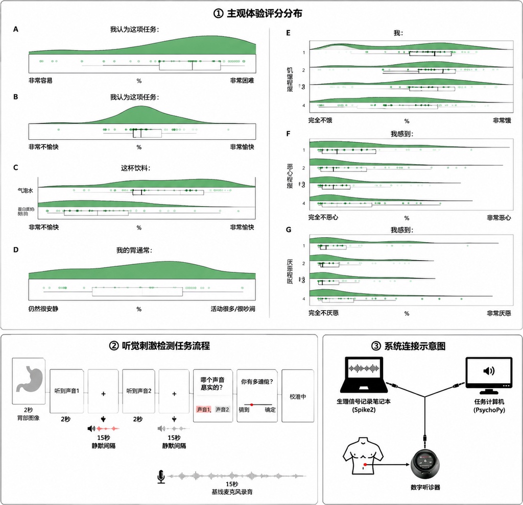 能从你肚子的咕咕叫判断健康状态吗？科学家做了测试