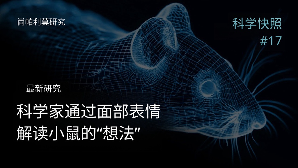 机器学习可以根据面部表情读懂老鼠心思