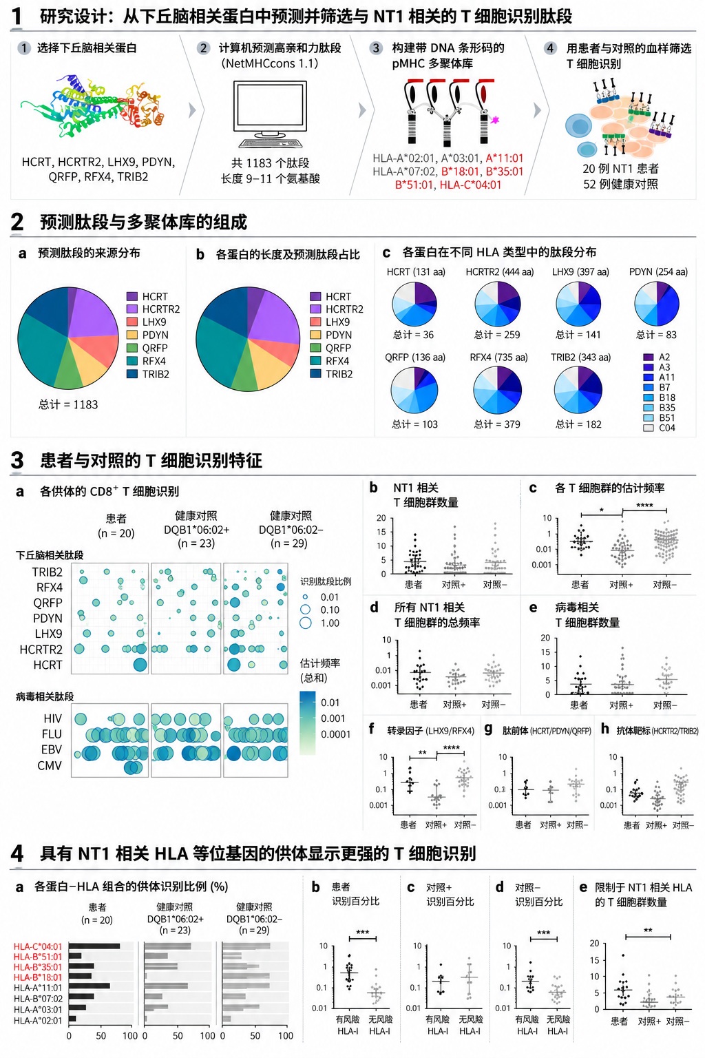 大脑清醒的秘密：严重失眠者的脑部为何依然年轻