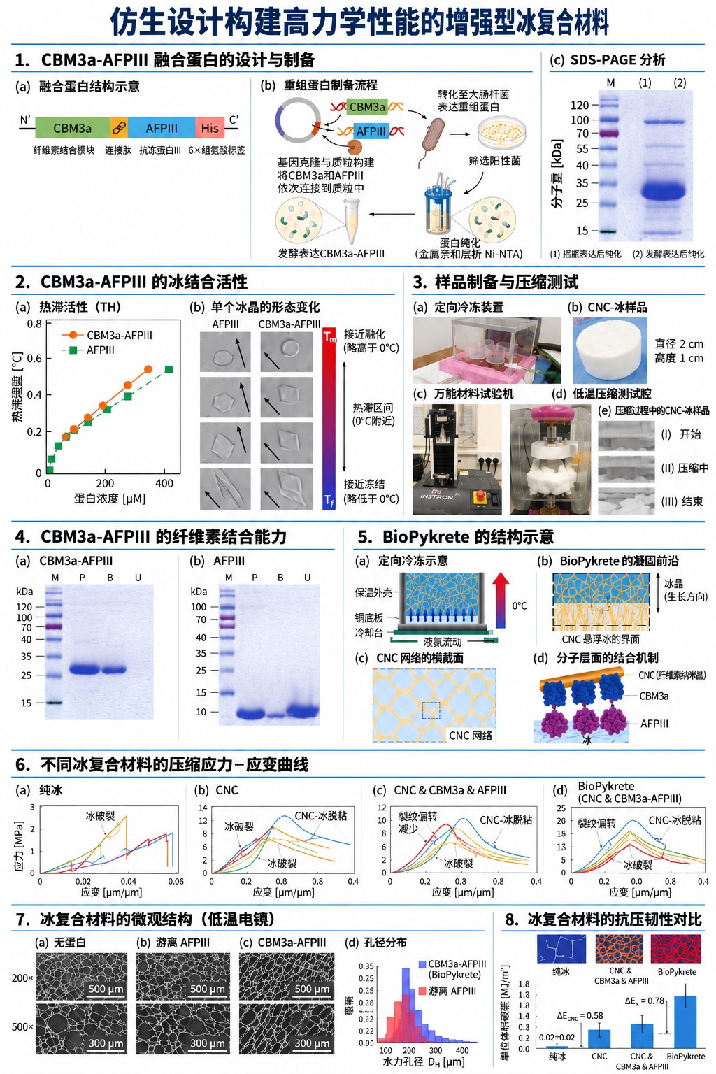 科学家用植物和蛋白打造超级冰,强度接近混凝土