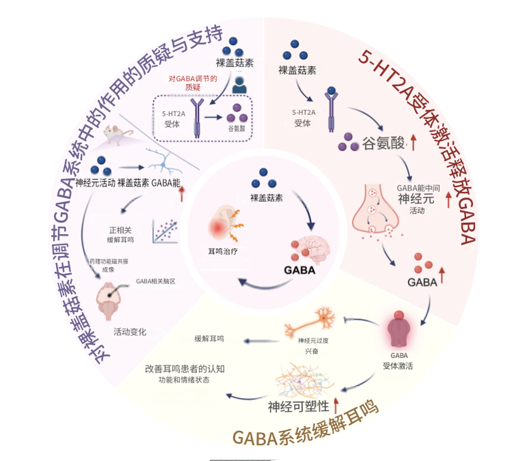 致幻蘑菇的一种化合物或可缓解耳鸣