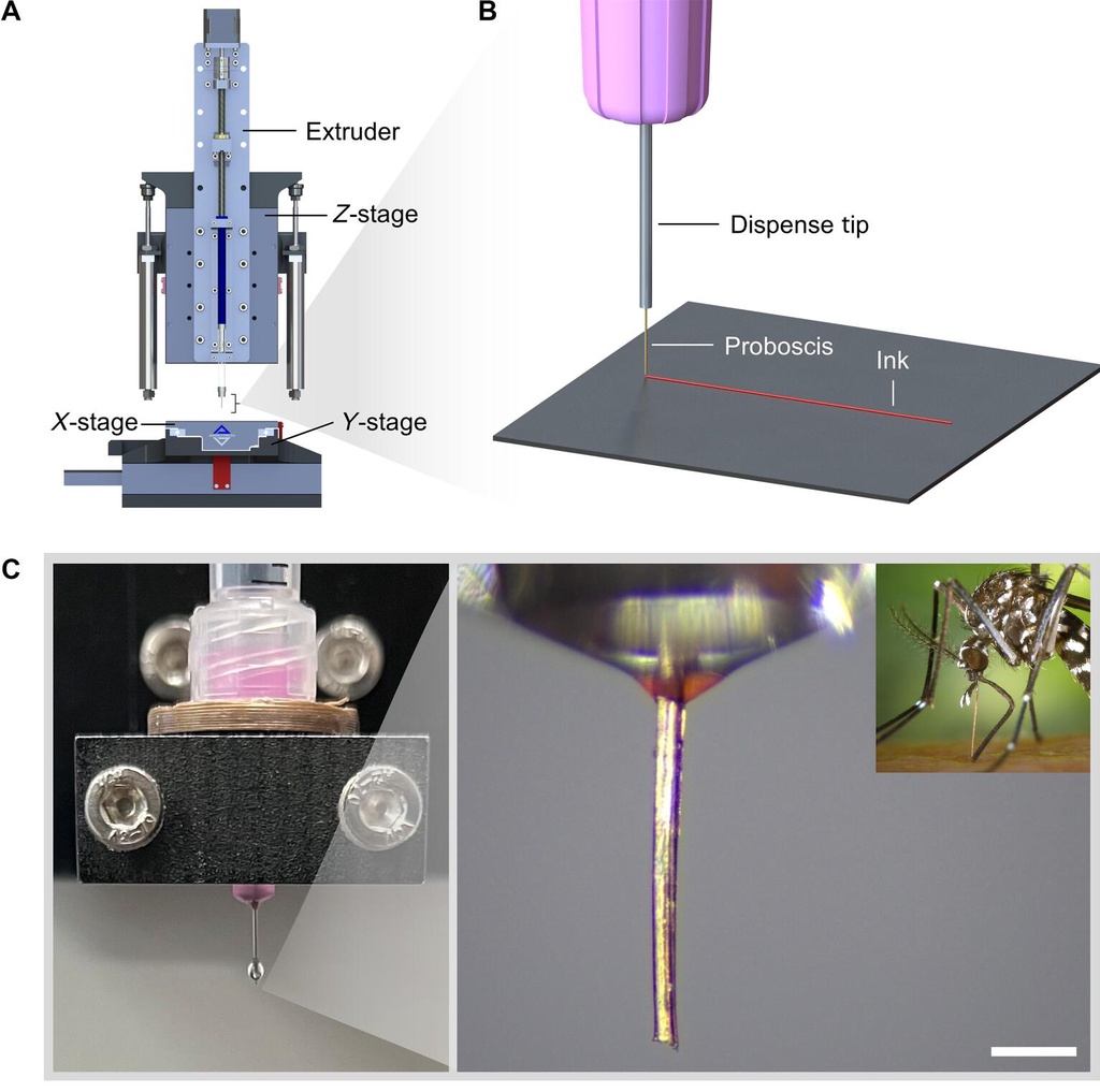 科学家用蚊子嘴做3d打印喷头