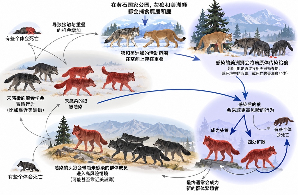 弓形虫真能控制你的大脑吗?因果倒置的新视角