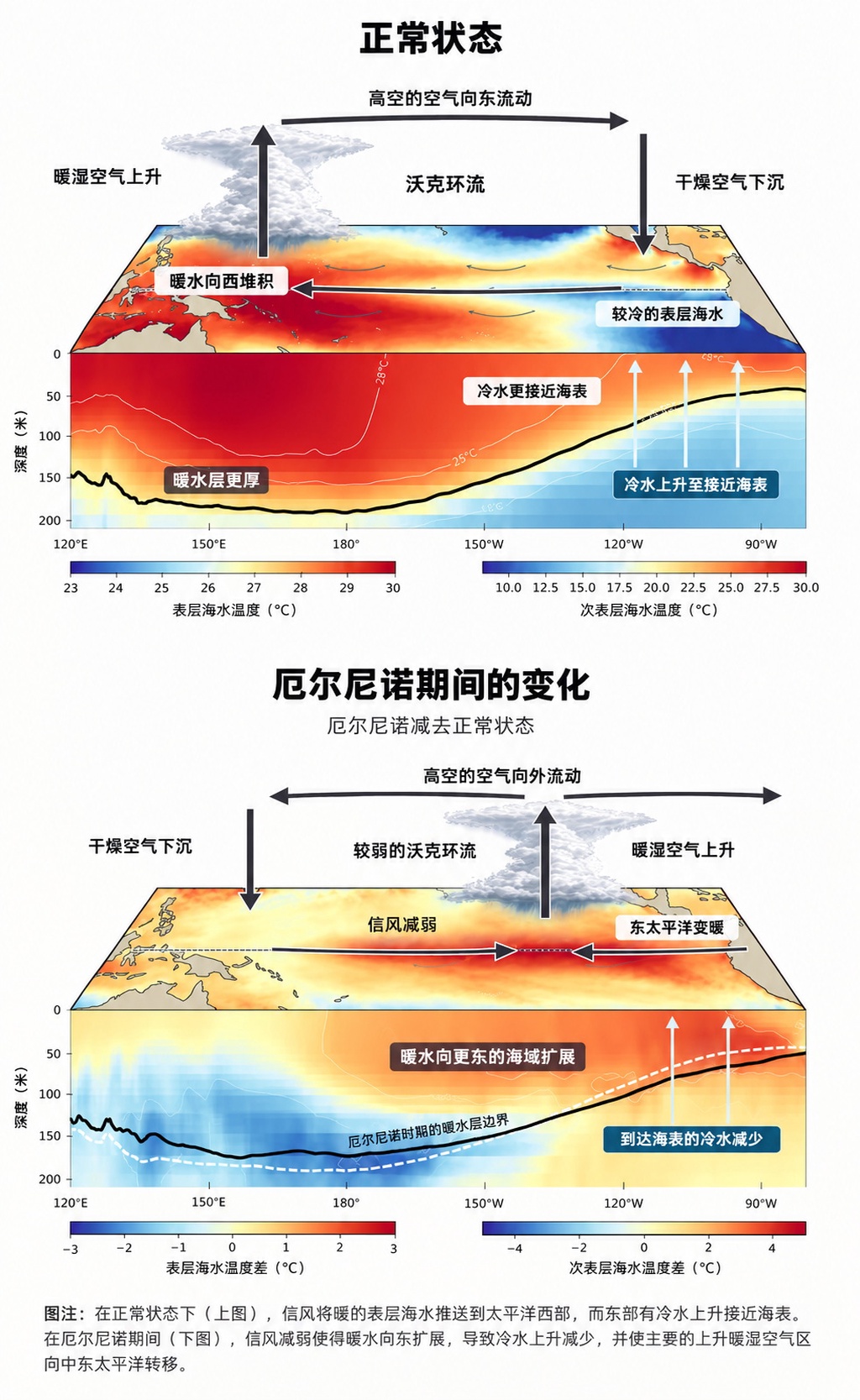 同一场厄尔尼诺,为什么一边暴雨成灾一边干旱大火