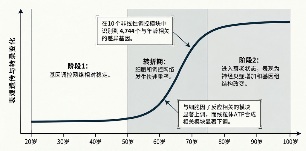 为什么过了50岁记忆力会突然开始下降