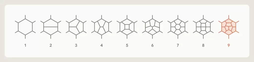 Anthropic攻克理论物理前沿方程,解决九圈粒子计算难题