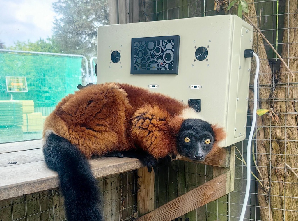 无厘头研究:用科技实现跨物种的交互