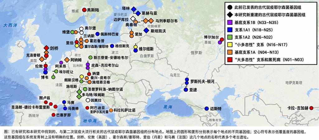 黑死病并未在1353年终结，基因探秘揭开欧洲400年鼠疫拉锯战