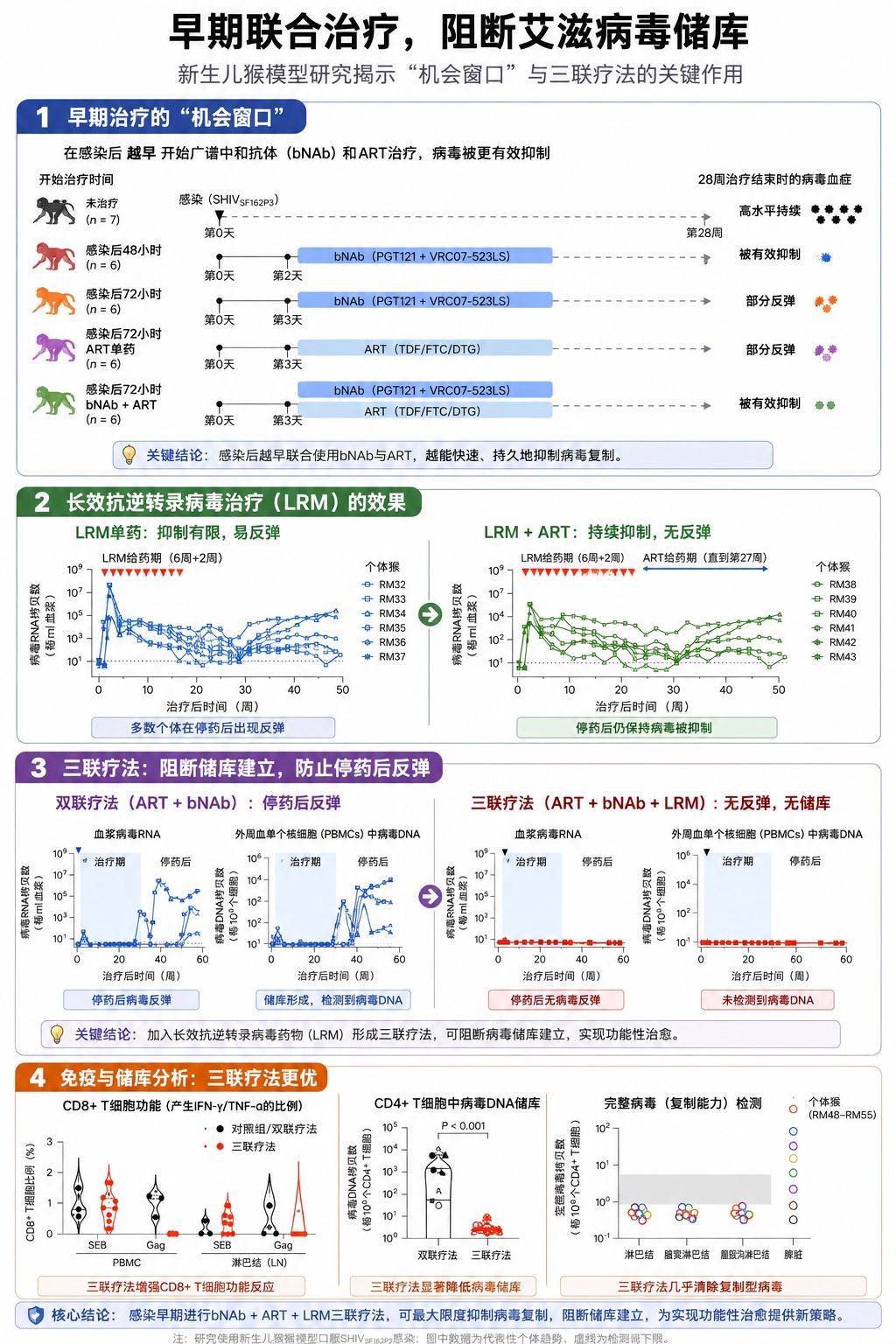三联疗法让新生猕猴体内HIV彻底清零