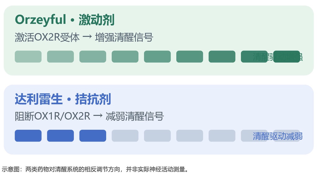食欲素激动剂Orzeyful获批治疗发作性睡病