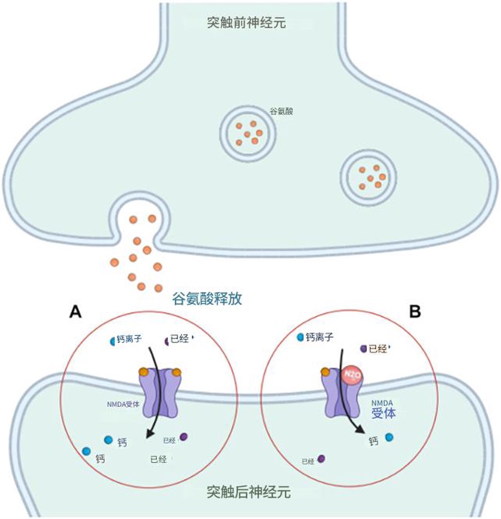 笑气或能快速缓解抑郁症