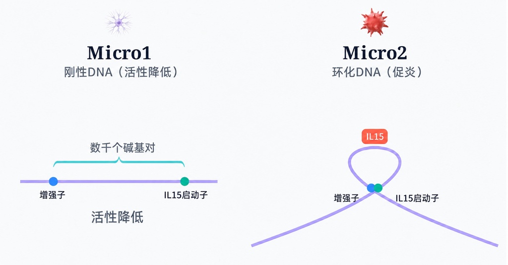 为什么过了50岁记忆力会突然开始下降
