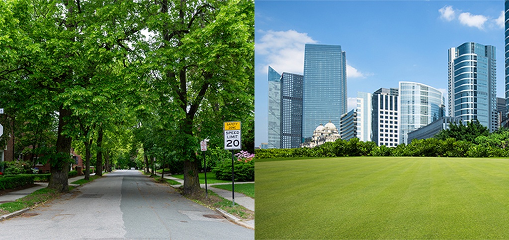 街道的树木能降低心脏病风险，但草坪和灌木相反