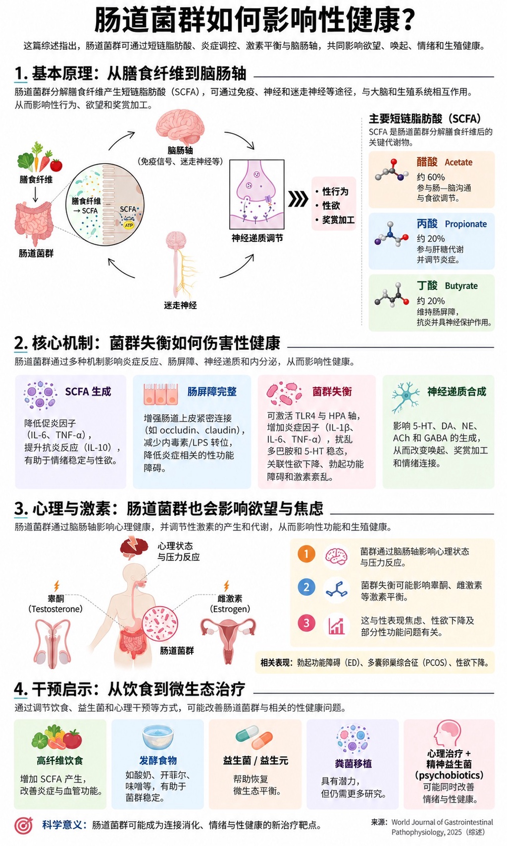 肠-脑-性欲轴？肠道微生物可以通过脑肠轴调节你的性欲