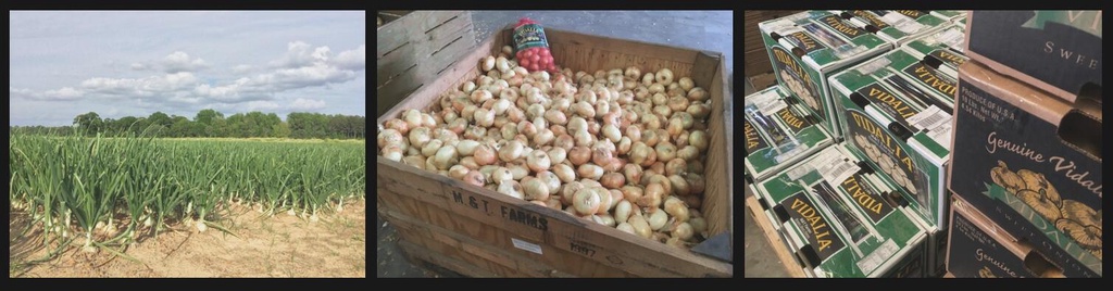 “我在网上卖洋葱”