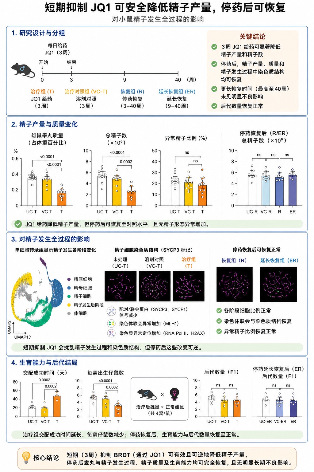 科学家找到男性避孕开关,可控制精子生产