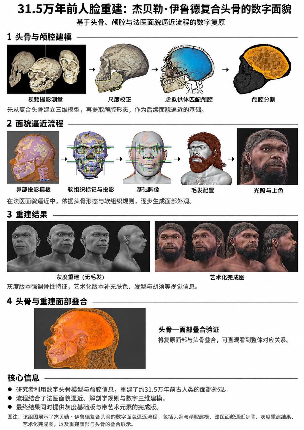 科学家数字重构31.5万年前的智人,其面貌竟然如此熟悉?