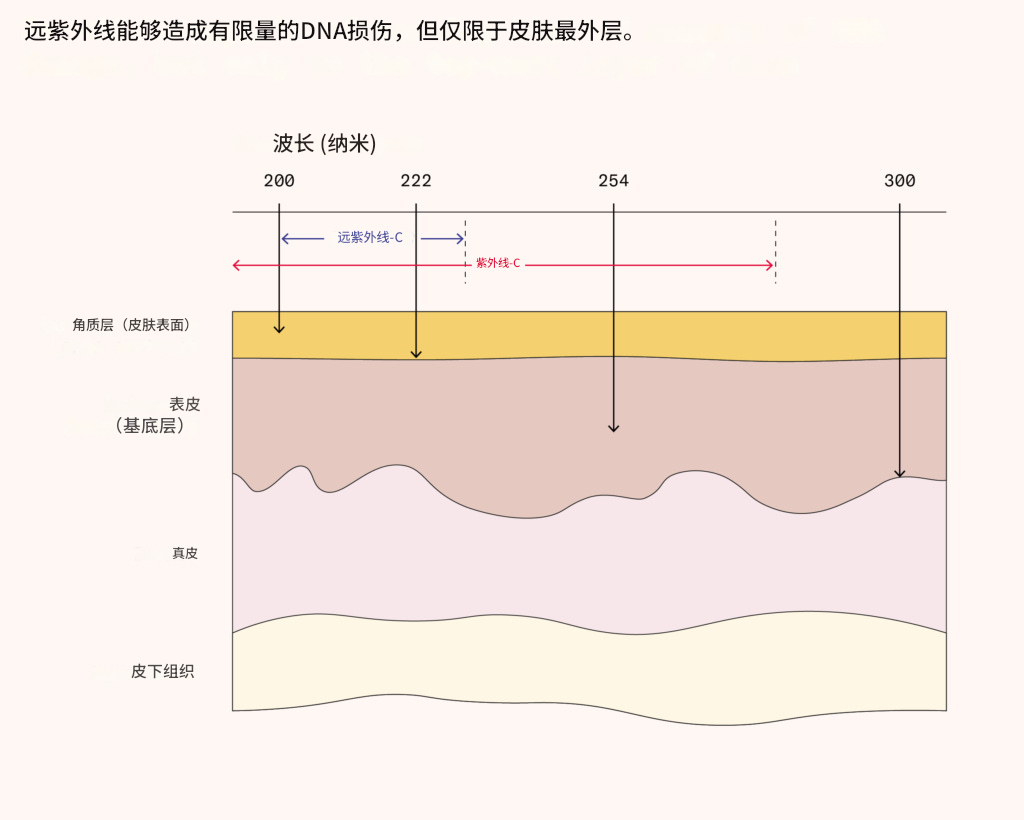 杀菌紫外线：下一场公共卫生革命