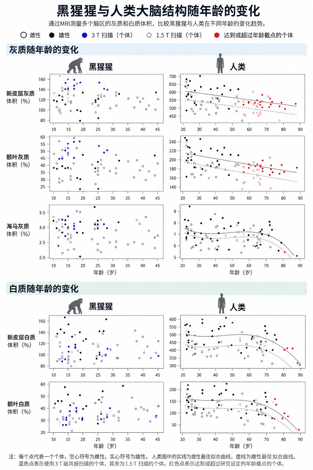 跟人类不同，黑猩猩和大猩猩大脑不会随衰老而萎缩
